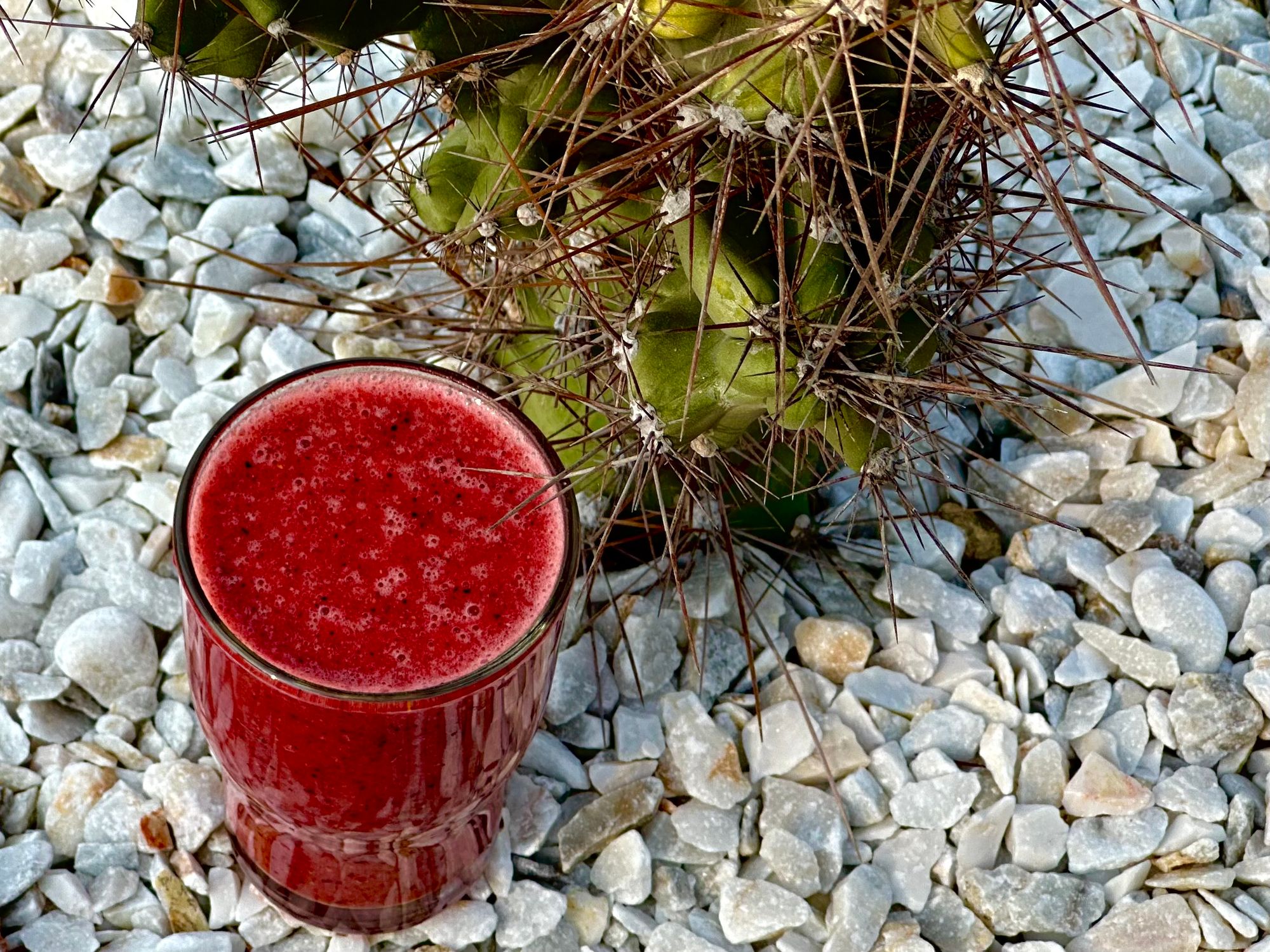 The Elixir of Life: A Tale of the Strawberry Smoothie