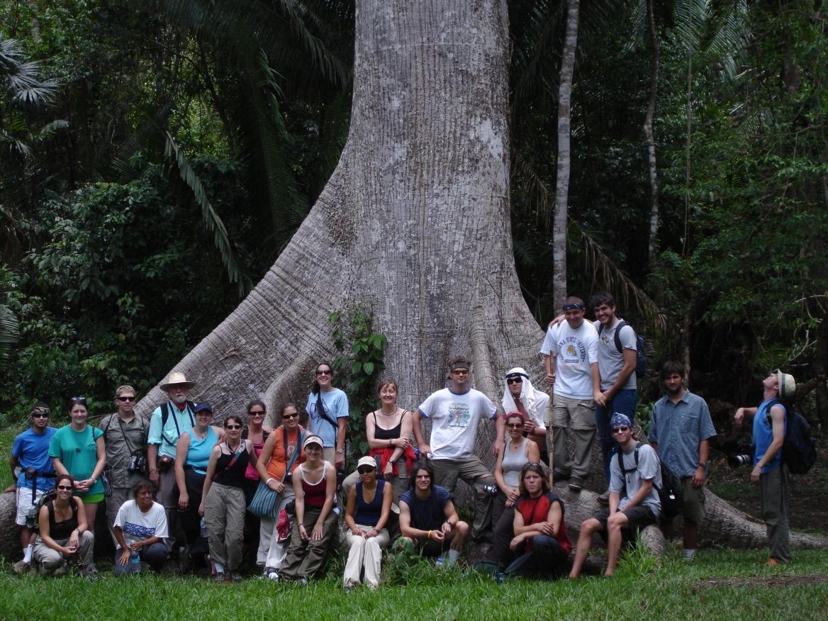 Enchanted Canopies: The Magic of El Salvador's Rainforests