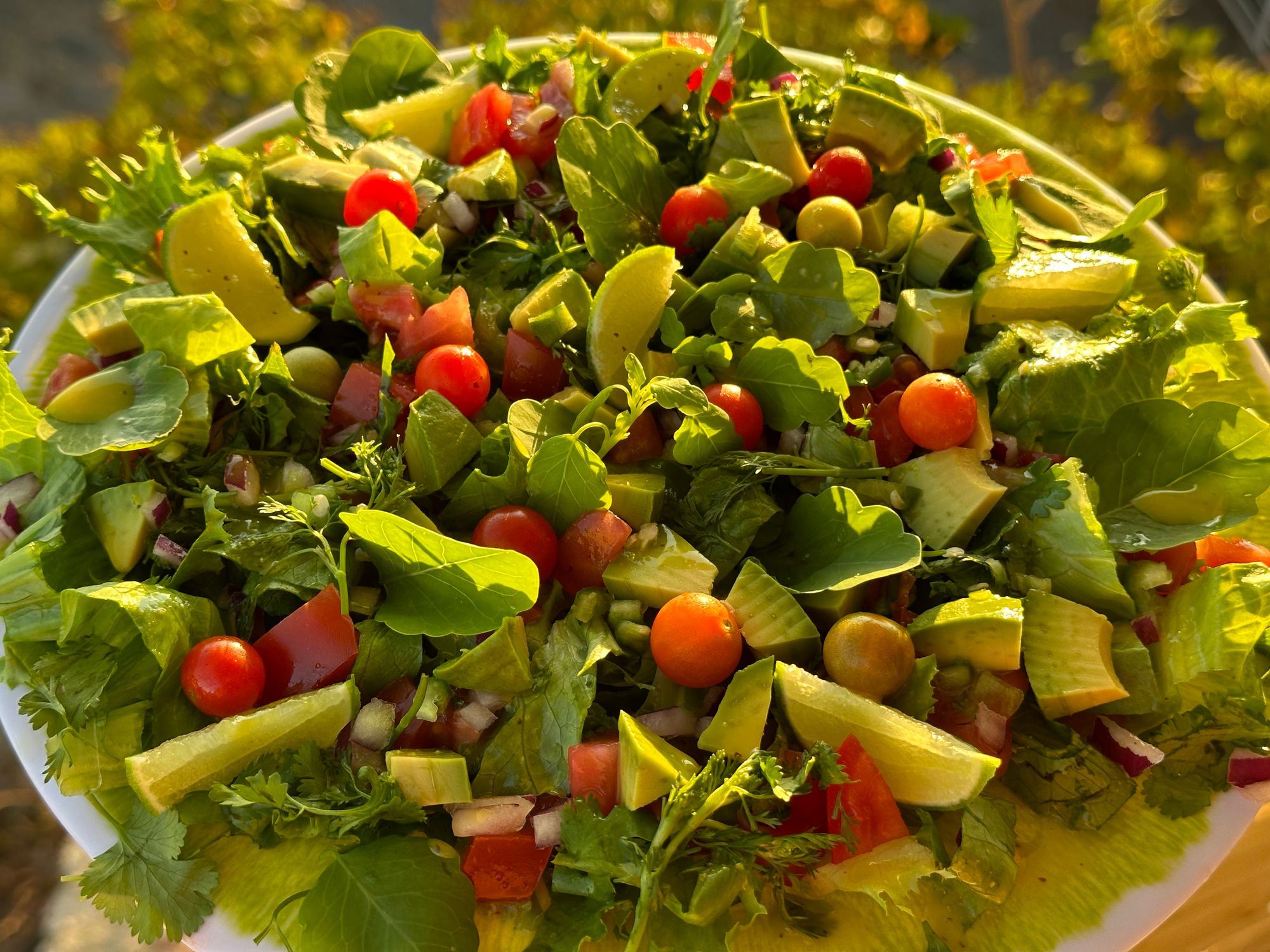 Mexico Dream Salad: A Culinary Journey to the Heart of Mexic