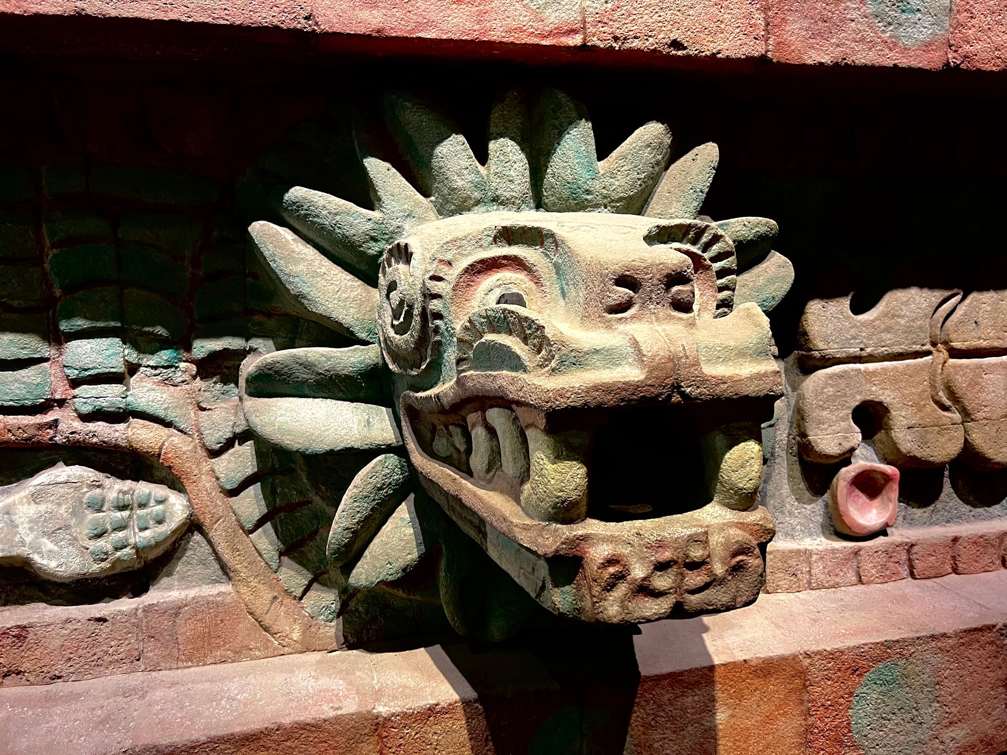 The Secrets of Maya's Chukum and Jiote Trees: Unveiling the Mystery of their Strong Plaster