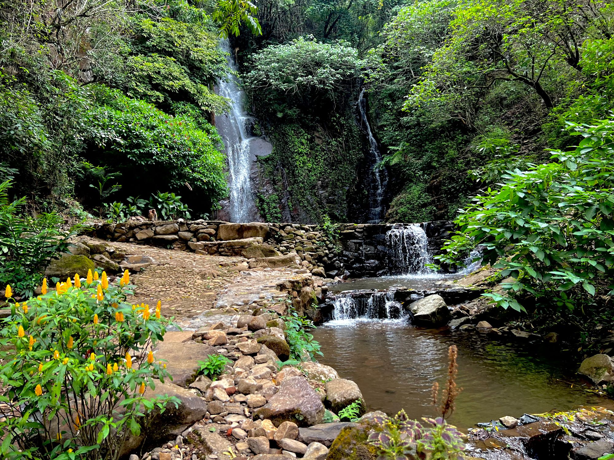 The Great Escape: Finding Freedom and Sustainability Along the Pacific's Green Corridor