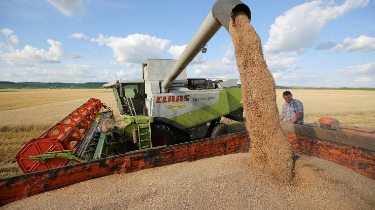 Shadow Traders: The Shady Underbelly of Ukraine's Grain Trade in Times of Conflict