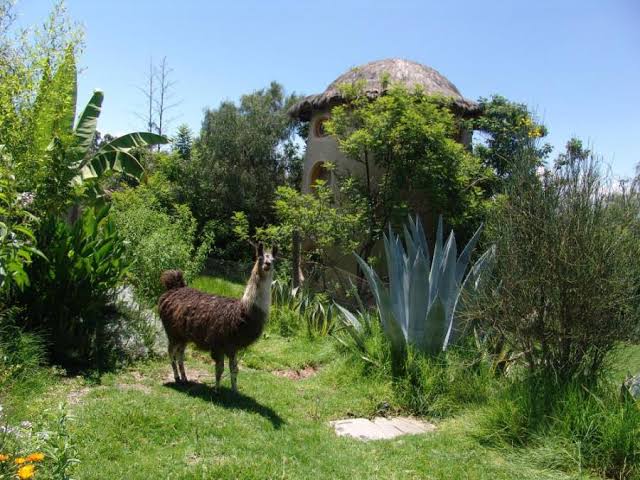 Bolivia: An Untouched Paradise Awaiting Eastern European Expatriates in Search of Serenity