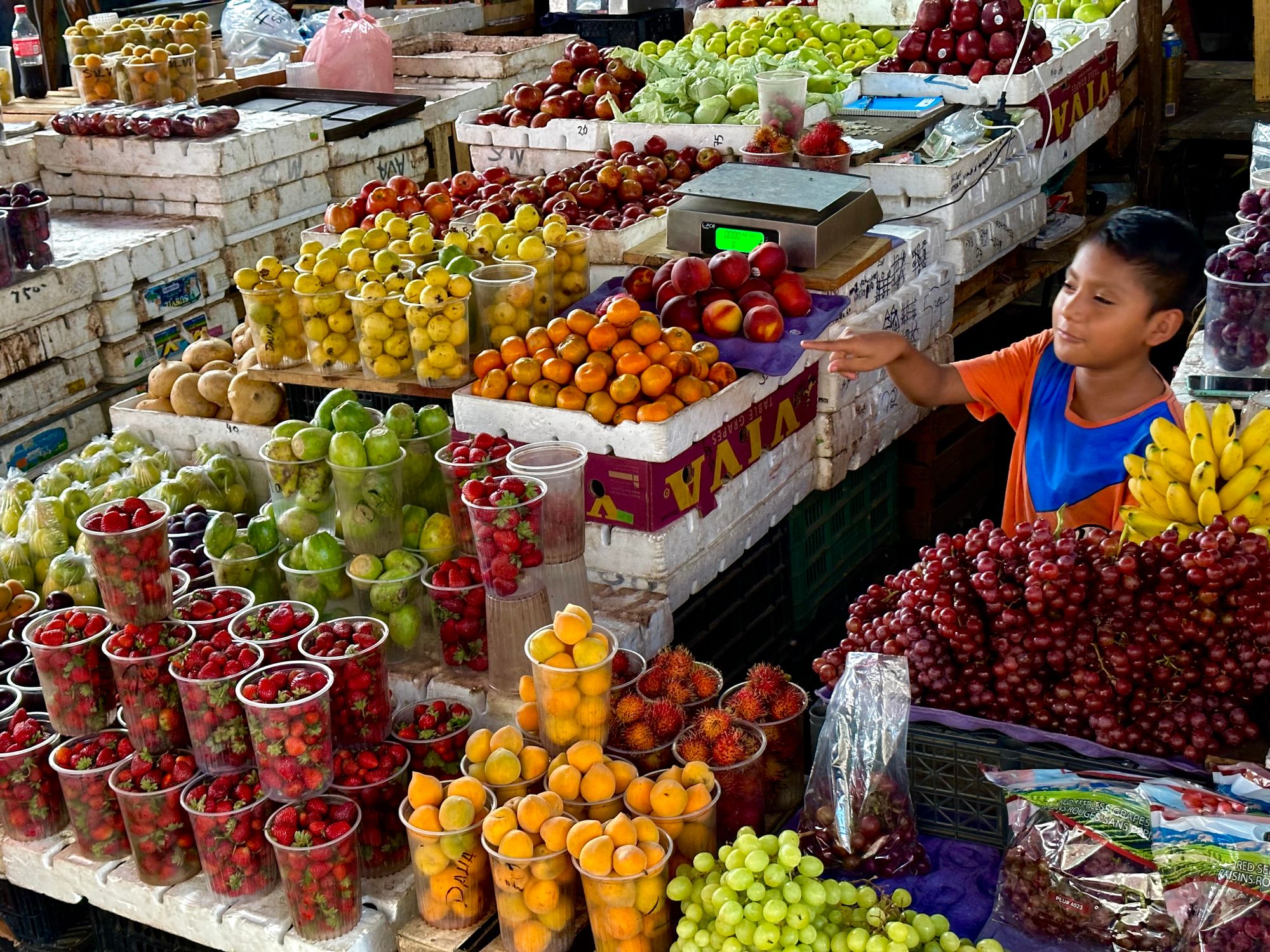 A Spectrum of Vitality: Acapulco's Open-air Market Offers an Energy-Rich Symphony of Fruits