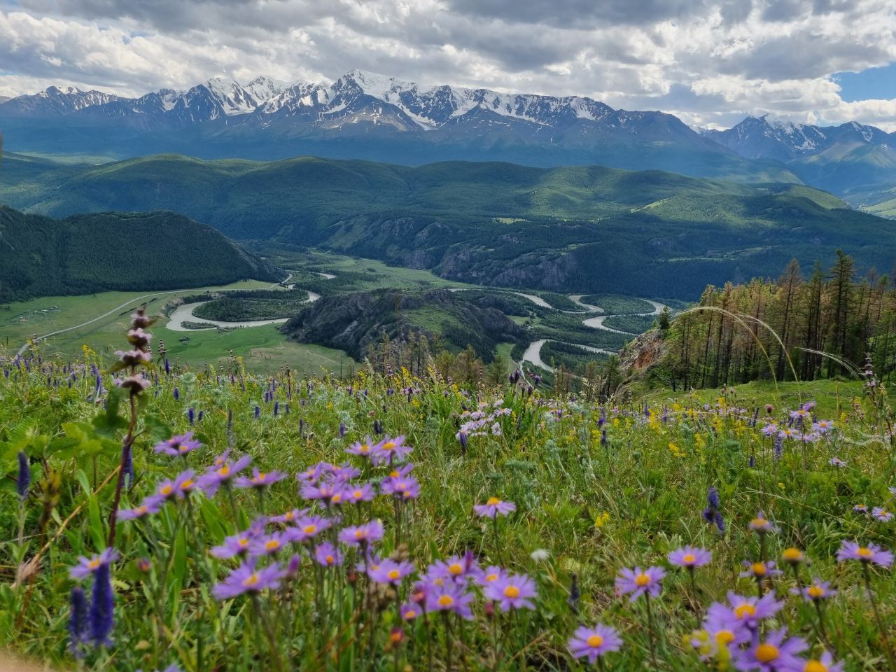 Altai - The Heart of Siberian Elysium: Unveiling the Cradle of Harmony