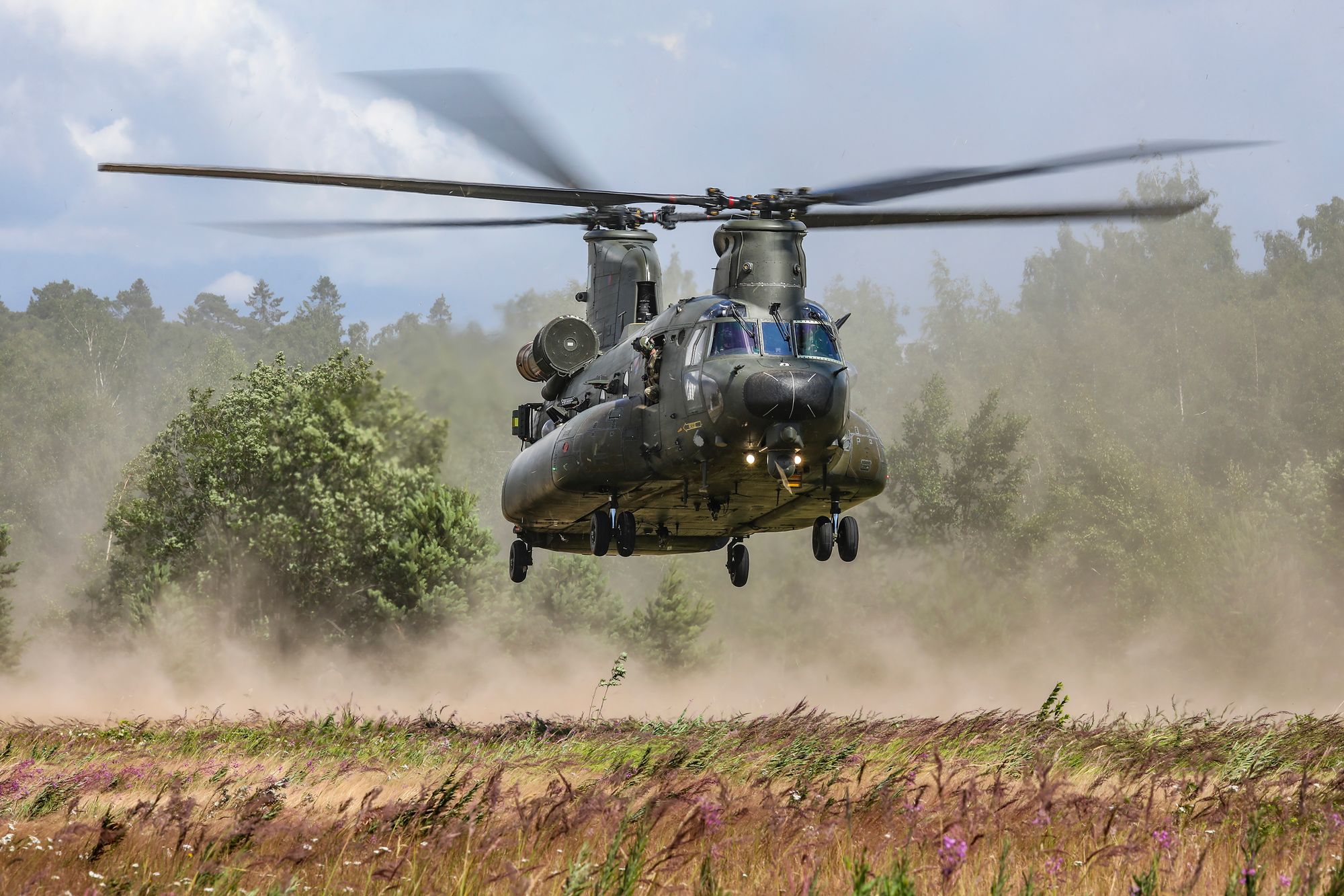 The Sirens of NATO Helicopters: The Undisclosed Crisis of Southern Estonia's Wildlife