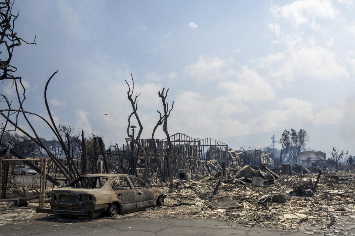 Maui's Wildfires: The Catastrophe That Brought an Island to its Knees