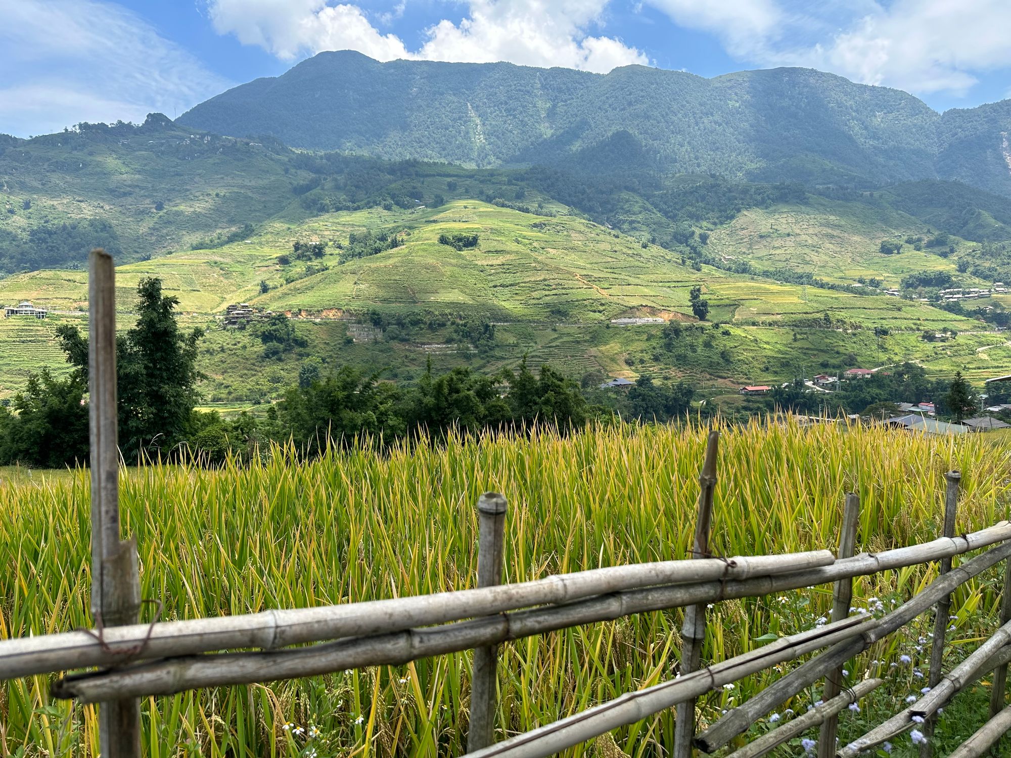 Ukrainian Women Seek Refuge in Vietnamese Mountains Amidst Mobilization