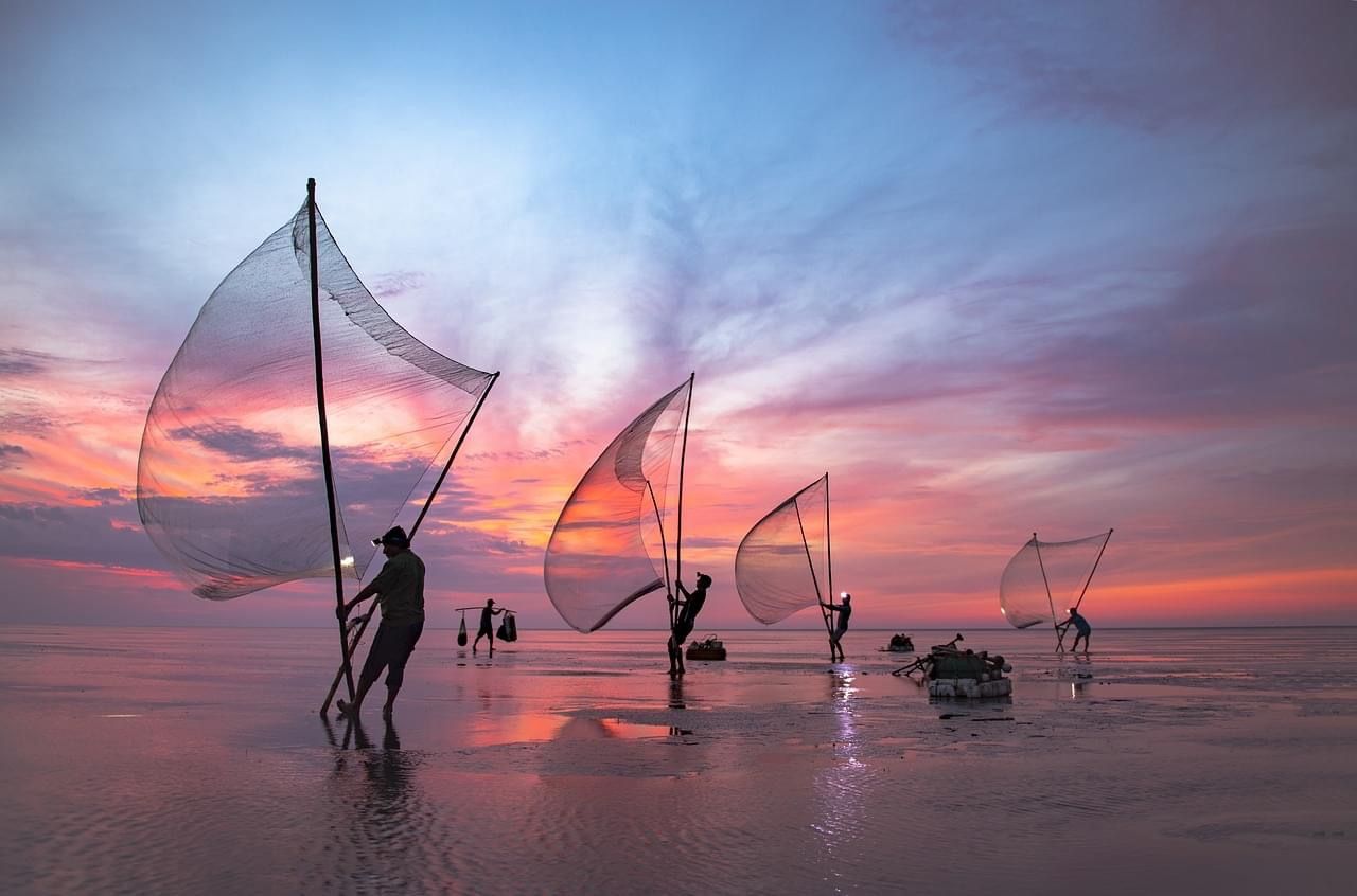 Whispers of the Wind: The Sea-Guardians of Vietnam