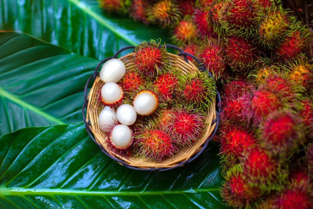 The Radiant Rambutan: Nature's Brain-Boosting Gem