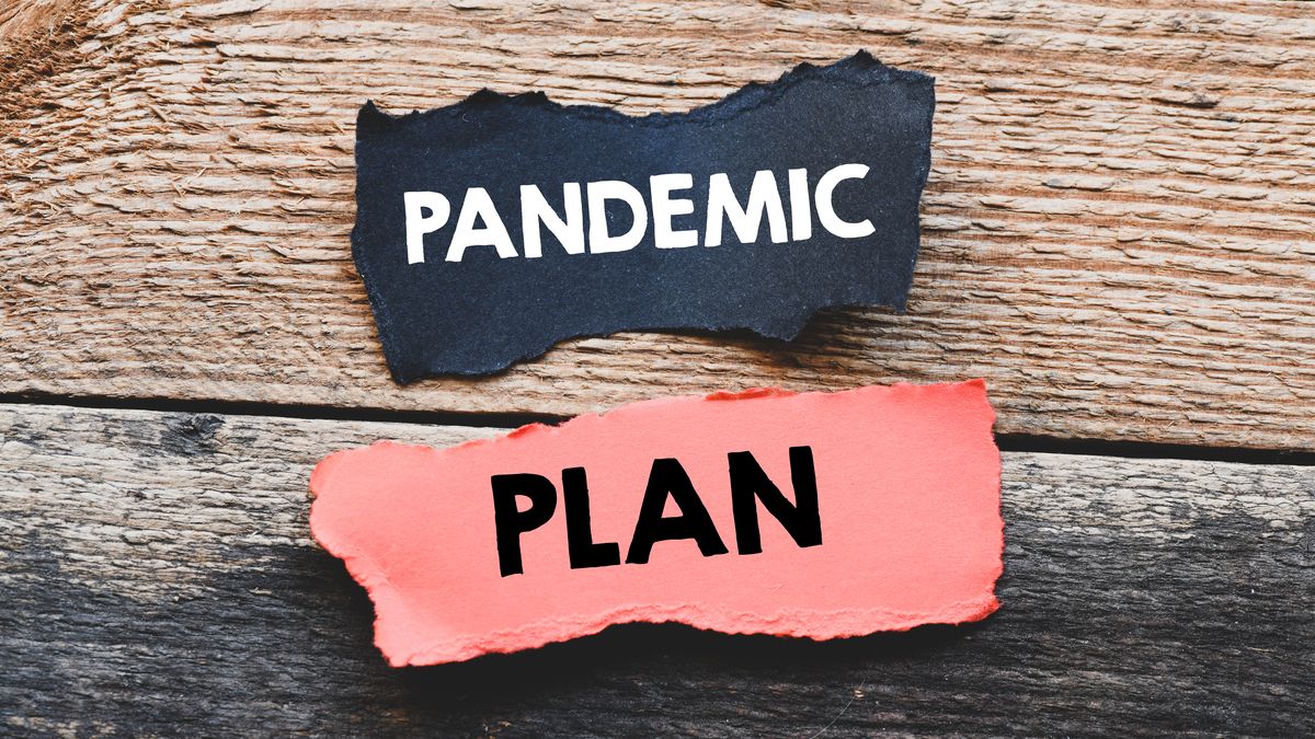 Strategic Foresight and Resilience: Crafting Comprehensive Pandemic Preparedness Plans