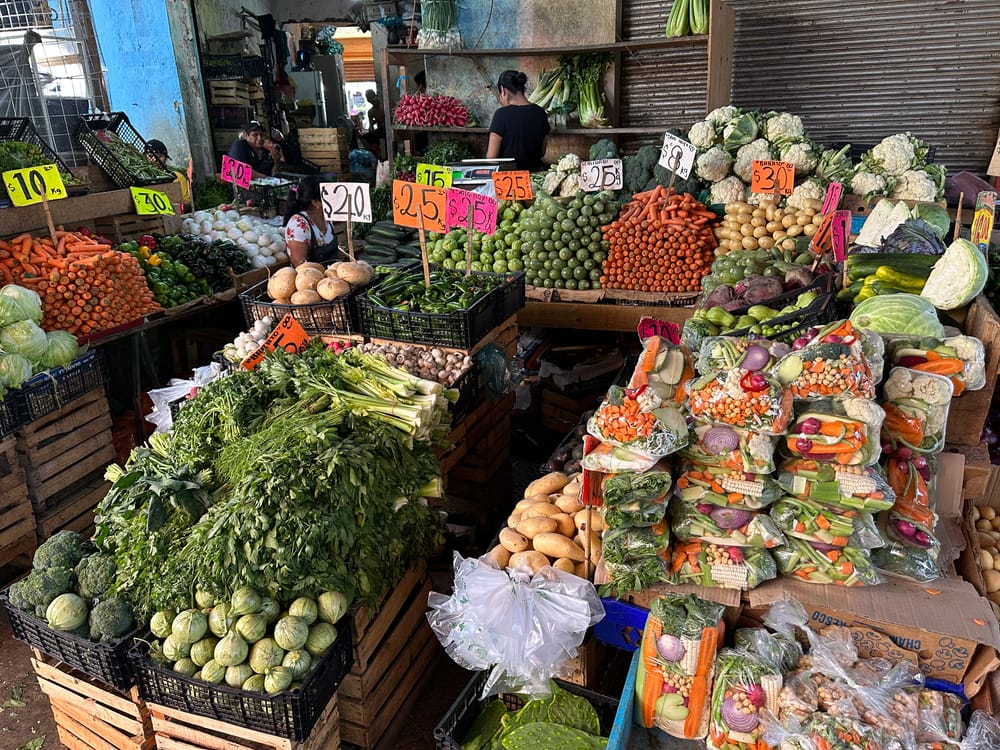 Exploring the Vibrant World of Mexican Markets: A Journey Through Acapulco and Cuernavaca post image