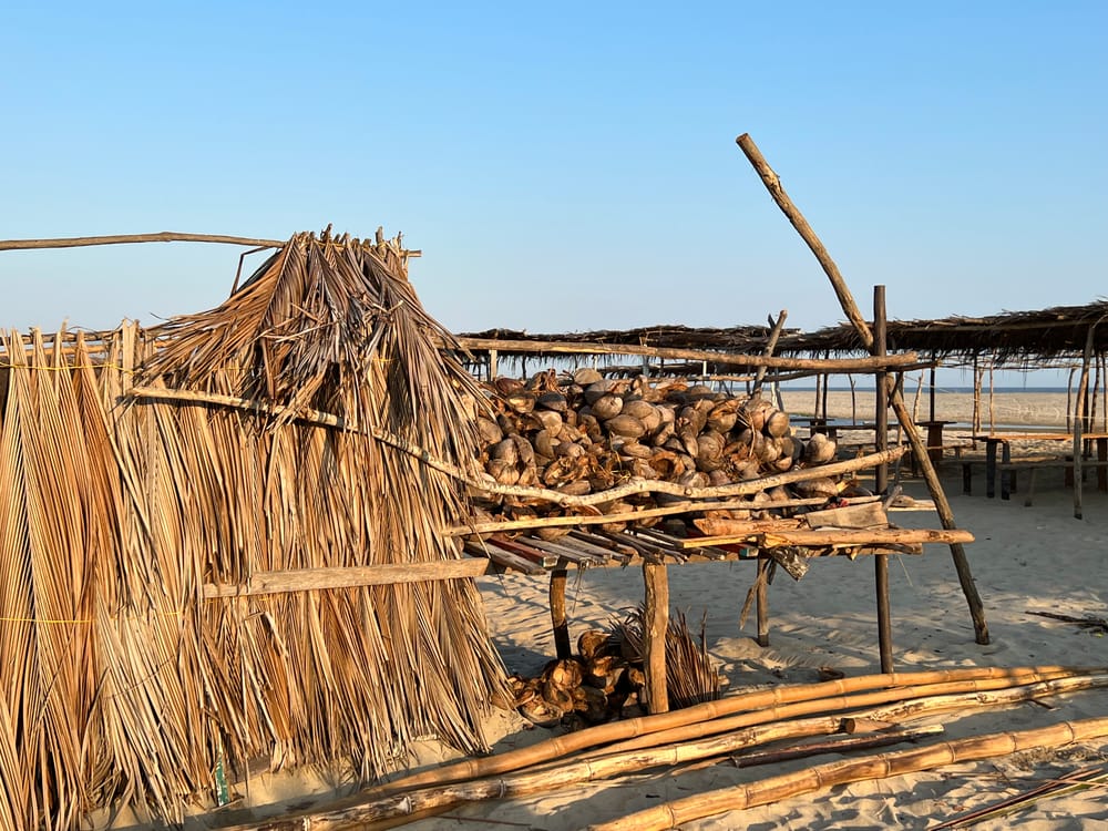 Whispers of the Pacific: A Decade's Journey to Harmony Amidst Nature's Simplicity post image