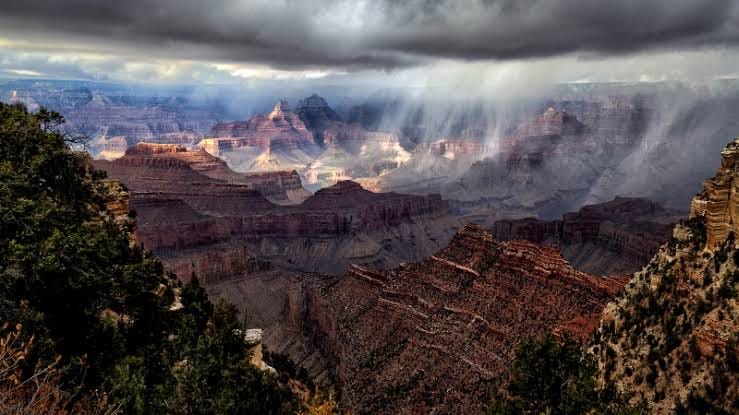 Embracing the Transformation: The Rainy Season on Mexico's Pacific Coast post image