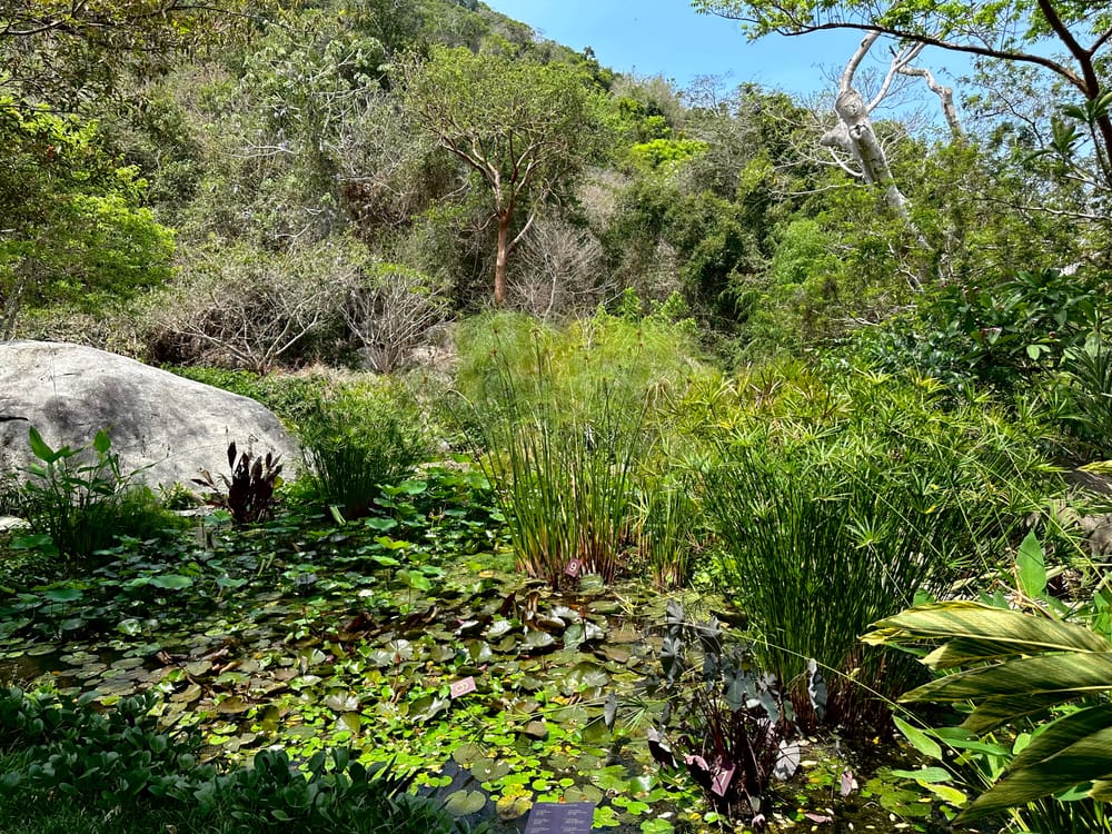 Guerrero: A Symphony of Ecosystems in Mexico’s Coastal Paradise post image