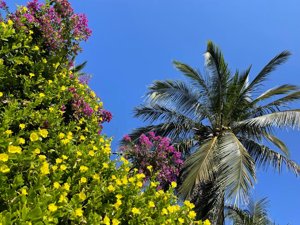 A Respite in Solitude: Recharging in Nature after Years of Strain post image