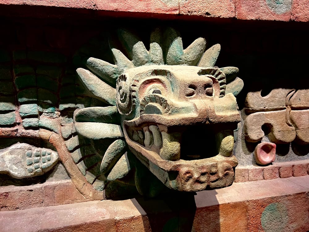 The Secrets of Maya's Chukum and Jiote Trees: Unveiling the Mystery of their Strong Plaster post image