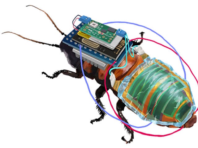 Cockroaches Turned Cyborgs: An Unlikely Tale of Tiny Lifesavers and Environmental Guardians post image