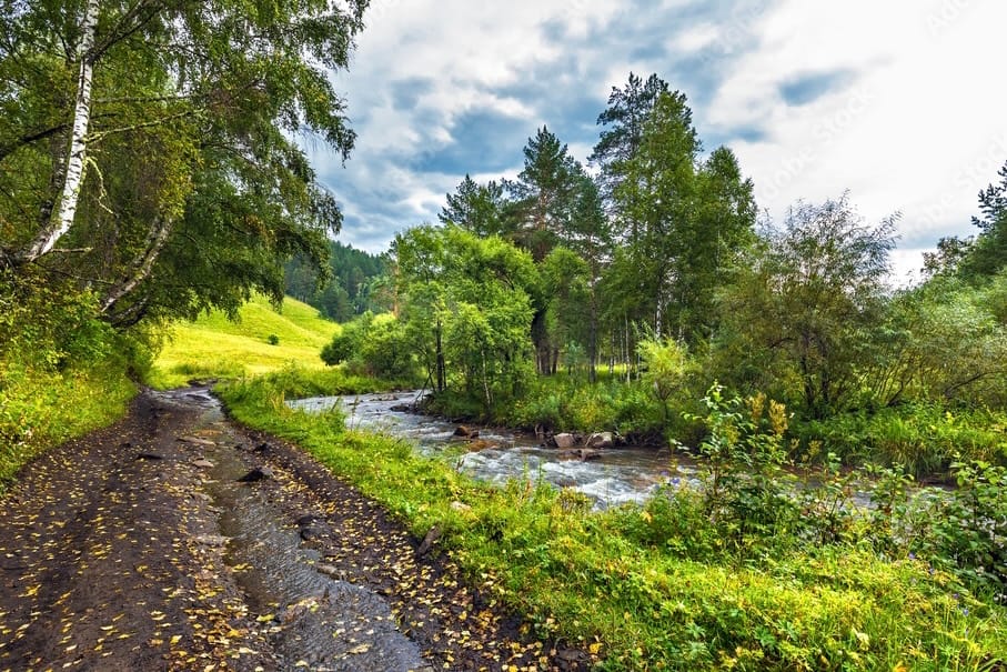 Siberian Elysium: An Exodus from Western Frenzy towards Harmonious Evolution post image