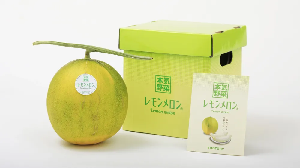 Hokkaido's Pioneering Lemon Melon: The Perfect Summer Fruit Blend post image