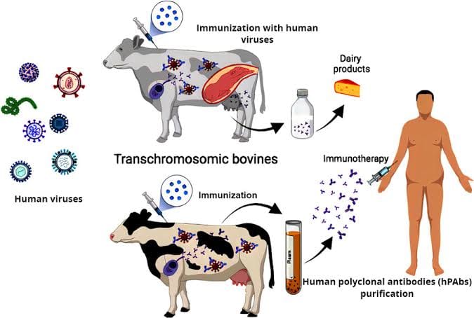 Milk Evolves: From Life's Giver to Its Defender post image