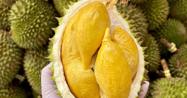 Discovering the Exotic and Pungent World of Durian (Sau Rieng): The King of Fruits post image