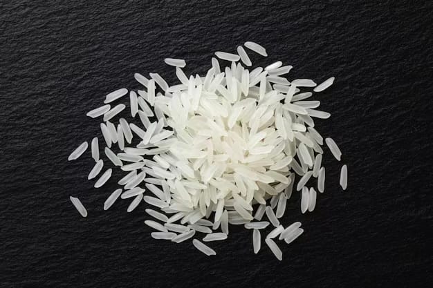 The Rice Grain Revolution: Programmable CBDCs and Implantable Devices post image