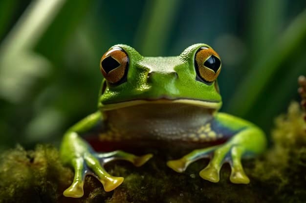 The Green Frog: A Philosophical Symbol of Sustainability and Interconnectedness post image