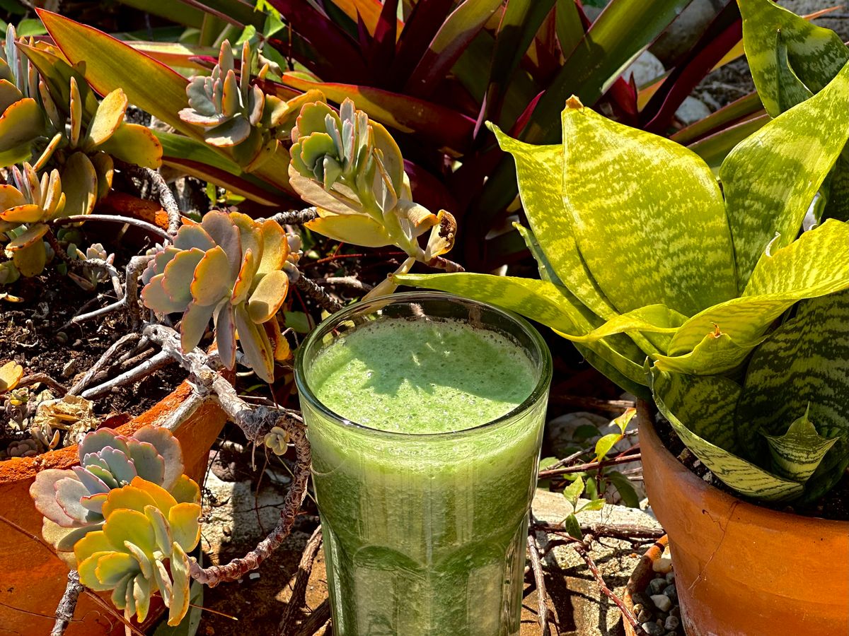 A Splash of Green: The Magic of Adding Spirulina to Your Fresh Smoothies