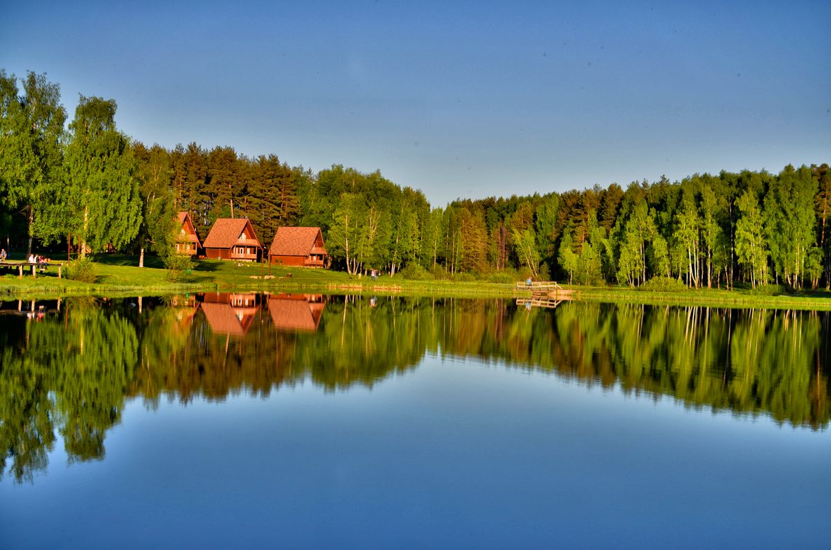 Russia's Pristine Eden: The Kologrievsky Forest Reserve – Unearthing the Gems of European Taiga