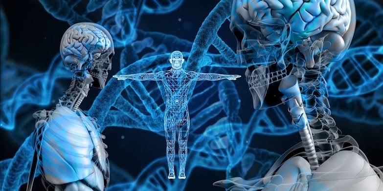 Enhanced Humans: Charting the Course in the New Era of Bio-Augmentation and AI Integration
