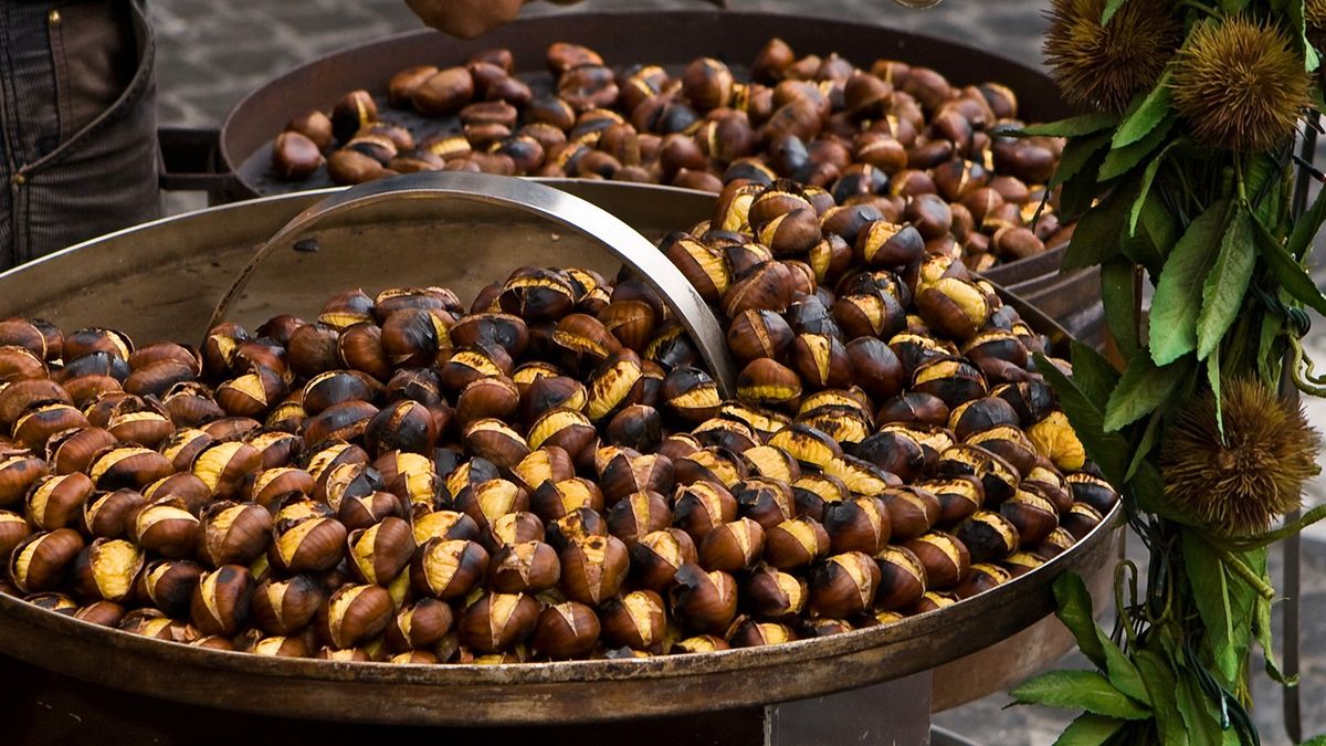 Roasted Sapá Chestnuts: Nutritional and Medicinal Insights