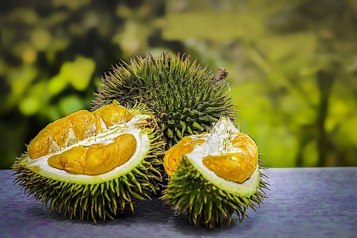 Vietnam's Exotic Fruits: A Gastronomic Journey Beyond the Ordinary