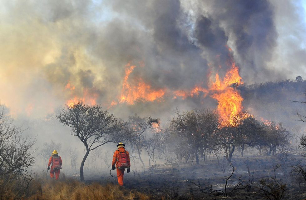 Dramatic Fires Engulf Córdoba: Homes Ablaze and Evacuations Underway