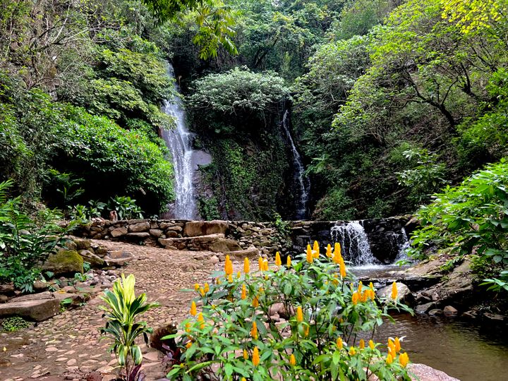 Serenity in the Clouds: Guatemala's Mountain Eco-Life Draws World-Weary Vagabonds and Digital Nomads