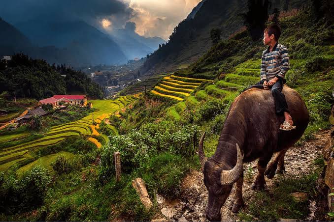 The Secret of Longevity in the Majestic Villages of Sin Chai and Cat Cat