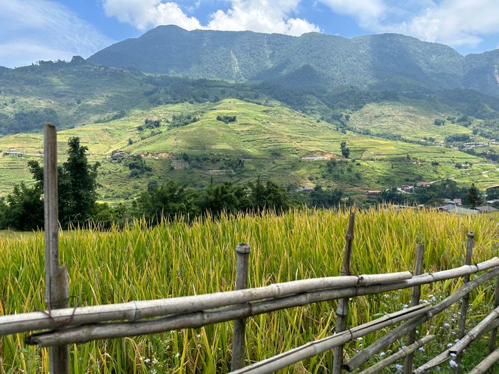 Ukrainian Women Seek Refuge in Vietnamese Mountains Amidst Mobilization